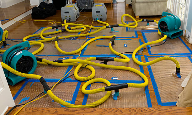 Professional Burst Pipe Water Damage technician working in Windom, TX